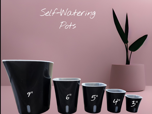 3" Black Self-Watering Pot