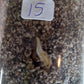 THAI CON #15
