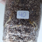 THAI CON #40