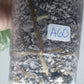 Monstera Albo A60
