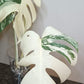 Beautiful Monstera Albo Top Cut reserved for Kate Cheville Luz