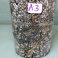 Monstera Albo A3 Reserve Deanna McKenzie