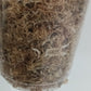 M. Aurea Mid RESERVED Cut Thao Tran McGowan