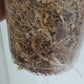 M. Aurea Mid RESERVED Cut Thao Tran McGowan