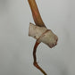 Var. Billie bottom cut Reserved for Jenny Newland Osbon