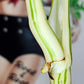 Monstera Albo Top Cut #T1 reserved for Carla Roeper