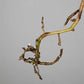 Monstera Albo Rooted Cutting 008 Laura Martin