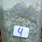 THAI CON #4-STARTER PLANT-