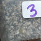 THAI CON #3-STARTER PLANT-