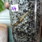 Monstera Albo A4