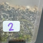 THAI CON #2-STARTER PLANT-