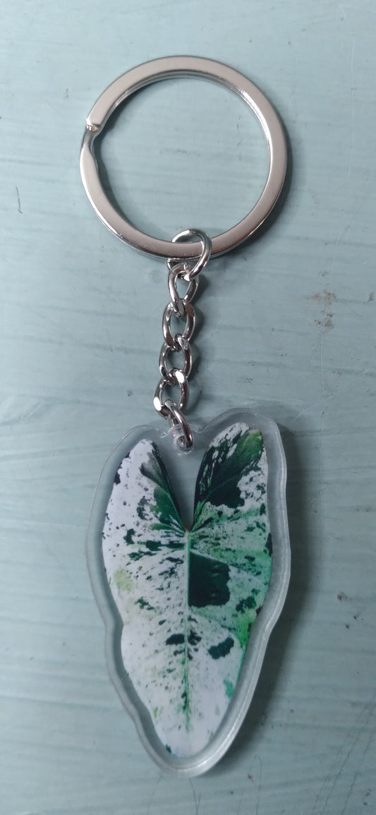 Variegated Keychain