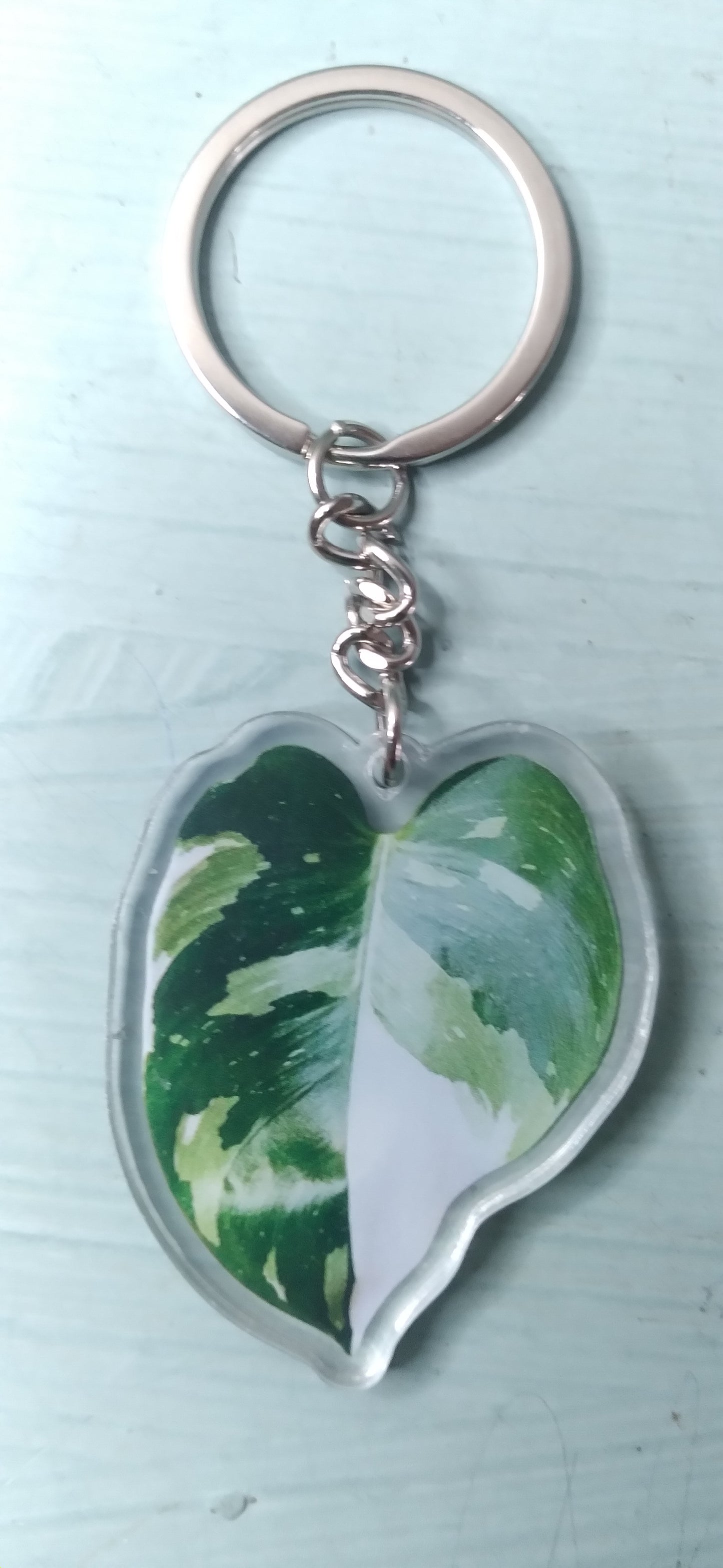 Variegated Keychain